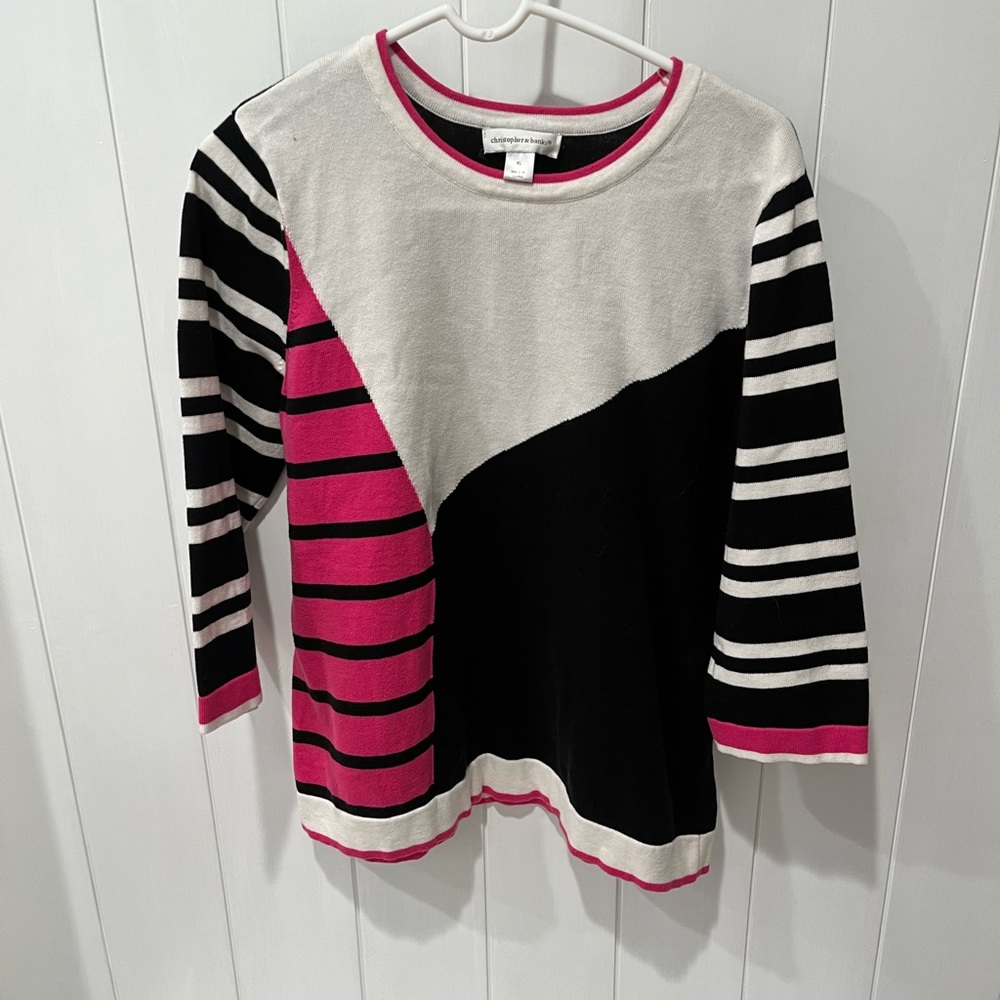 Christoper and Banks Pink, black and white color Block sweater